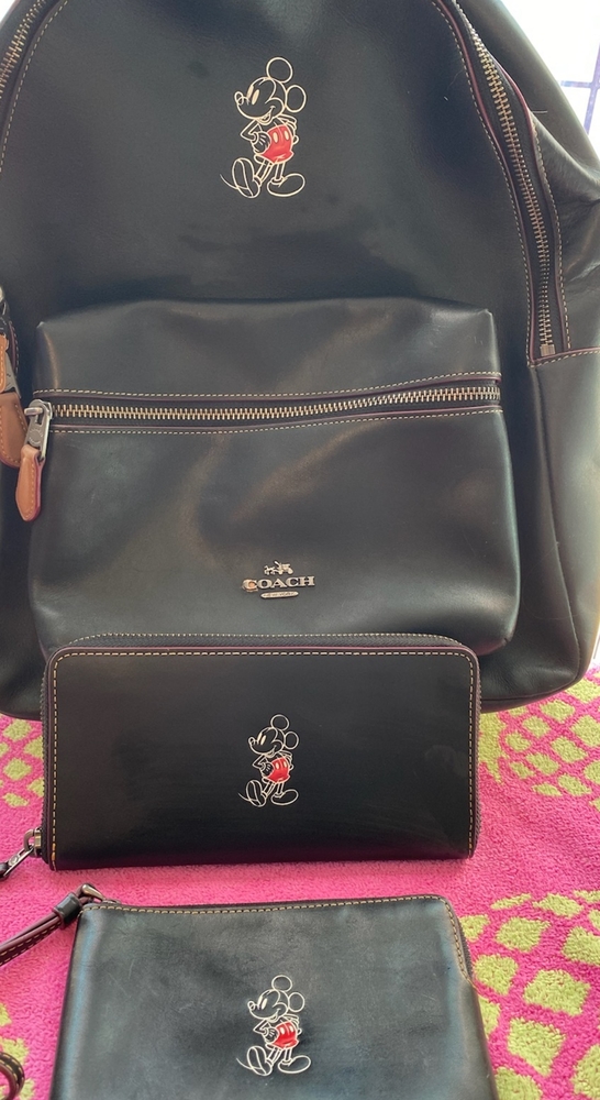 Coach backpack